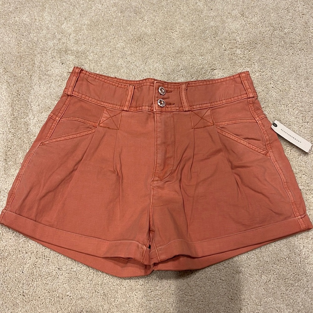 Women’s Anthropologie rusty coral relaxed pleat shorts